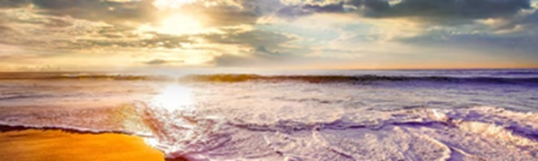 One Life Live Free header image